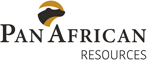PAN AFRICAN RESOURCES PLC logo